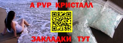 ГАЛЛЮЦИНОГЕННЫЕ ГРИБЫ Кингисепп