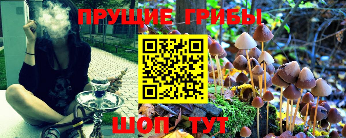 Псилоцибиновые грибы прущие грибы Ефремов