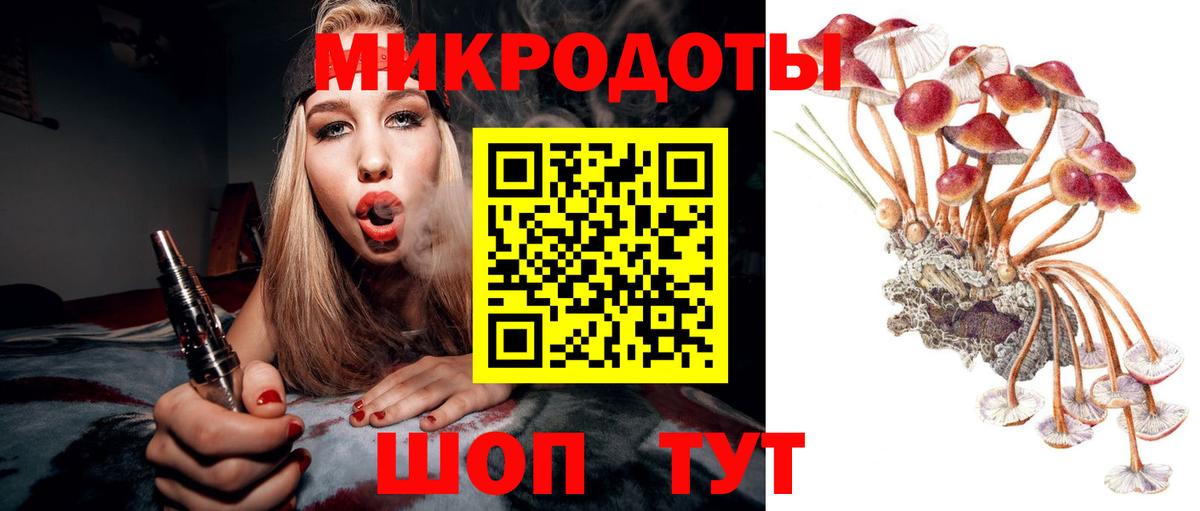 где купить   Вход с VPN  Псилоцибиновые грибы Cubensis  Ефремов  Псилоцибиновые грибы мицелий 